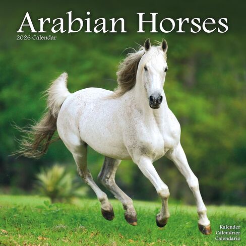 Arabian Horses Calendar 2026 | 12 Month Wall Calendar | Avonside Publishing | Plastic Free Packaging in Saudi Arabia