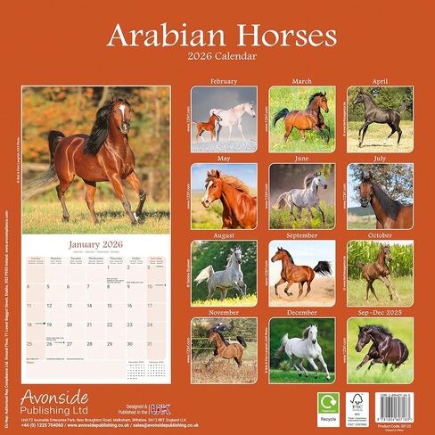 Arabian Horses Calendar 2026 | 12 Month Wall Calendar | Avonside Publishing | Plastic Free Packaging in Saudi Arabia
