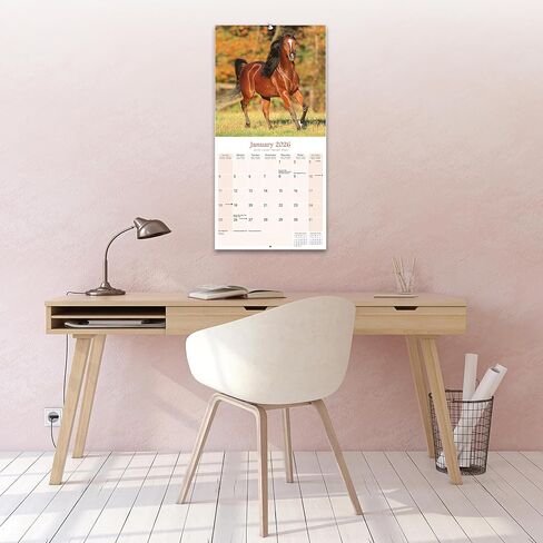 Arabian Horses Calendar 2026 | 12 Month Wall Calendar | Avonside Publishing | Plastic Free Packaging in Saudi Arabia