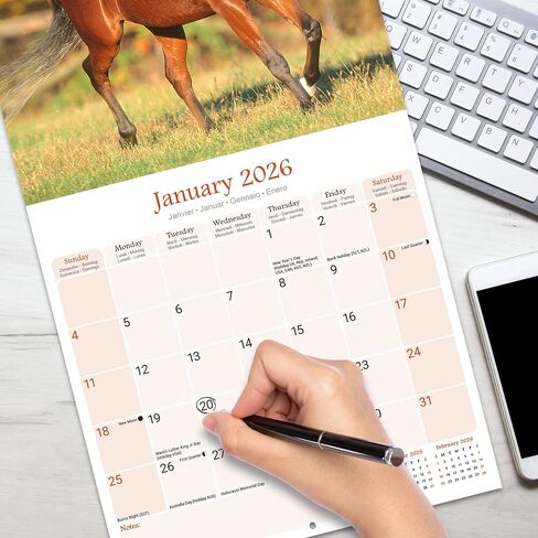 Arabian Horses Calendar 2026 | 12 Month Wall Calendar | Avonside Publishing | Plastic Free Packaging in Saudi Arabia