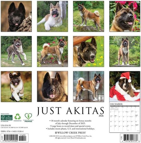 AKITAS 2026 12 "× 12" تقويم الحائط in Saudi Arabia