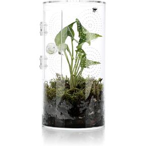 Jumping Spider Enclosure, 11.5"*6"*6", Micro Habitat Terrariums, Arboreal Reptile Tank with Front Opening Door,Tarantula Enclosure, Plant Greenhouse