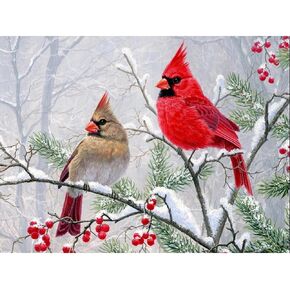 Diamond Art Painting Kits for Adults, Cardinal Birds Diamond Art Kits for Beginners, DIY Winter Gem Art Craft for Home Wall Decor, Great Gift for Kids 16x12inch