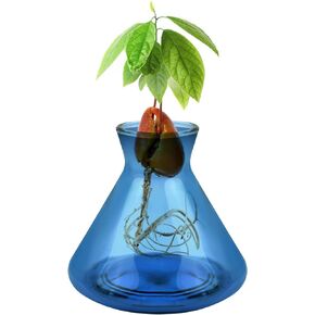 Avocado Seed Starter Vases, Avocado Vases Grow Glass Avocado Seed Vases Avocado Garden Vases Aqua Culture Vases Avocado Seed Sprouter Avocado Tree Growing Kit for Gardening Lovers