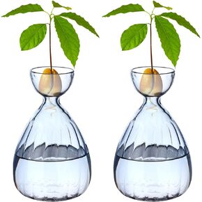 4 Pcs Small Avocado Seed Starter Vase Avocado Tree Growing Vase Kit Avocado Seed Sprout Starter Vase Planter Pot Easy Seed Sprout Starter Gift Plant Glass Gift for Gardening Lover
