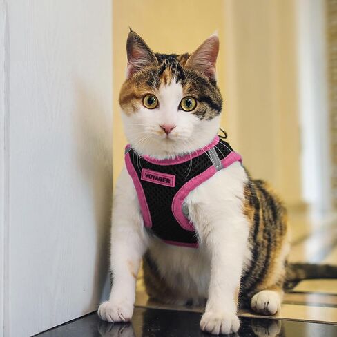 Best Pet Supplies - All Weather Mesh/Plush, Reflective, No Pull Harness for Small, Medium Dogs, Cats - Secure with Hook & Loop Fastener, Buckle, Double D-Rings - Black/Pink Trim, S in Saudi Arabia