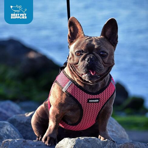 Best Pet Supplies - All Weather Mesh/Plush, Reflective, No Pull Harness for Small, Medium Dogs, Cats - Secure with Hook & Loop Fastener, Buckle, Double D-Rings - Black/Pink Trim, S in Saudi Arabia