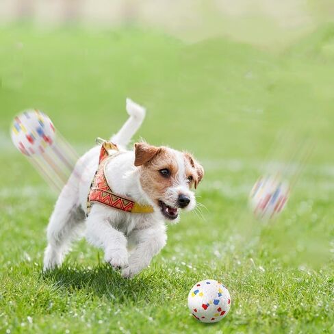 Automatic Ball Launcher for Dogs ，The Upgraded Ball Thrower Adjustable Distance 20-45ft Including 6 PCS 2.3-inch Sized Balls, Interactive Dog Toys Suitable for Small to Medium Sized Dogs in Kuwait