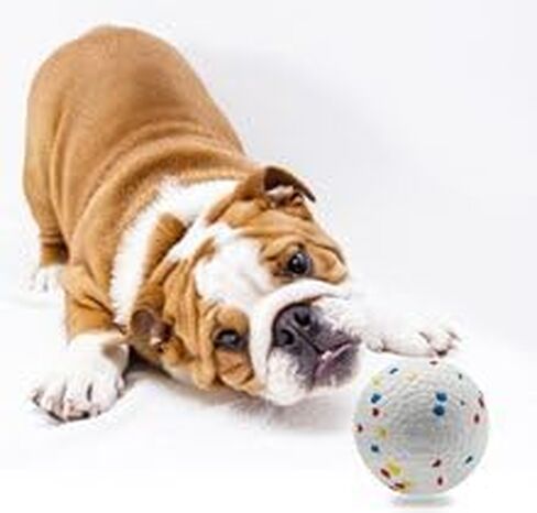 Automatic Ball Launcher for Dogs ，The Upgraded Ball Thrower Adjustable Distance 20-45ft Including 6 PCS 2.3-inch Sized Balls, Interactive Dog Toys Suitable for Small to Medium Sized Dogs in Kuwait