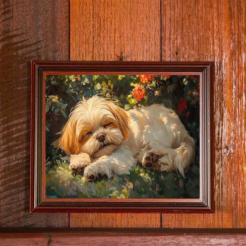 XTXGERL DIY Paint by Number Kits for Adult Beginner, Shih Tzu Dog Napping in The Sunlight, Paint by Numbers Kits for Adults, Canvas Painting Gift Kit for Modern Home Wall Decor, 40x50cm in Saudi Arabia