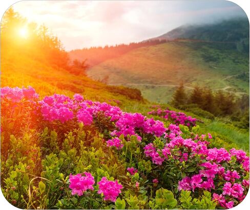 Spring Season Mouse Pad Mat Mousepad for Desk Computer Laptop PC Gaming Home or Office Gift (Bloom MP86) in Saudi Arabia