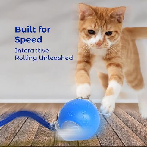 لعبة لعبة Cat & Dog التلقائية ، لعبة الحيوانات الأليفة المنشطة بالحركة مع مصابيح LED وأصوات الطيور ، لعبة المتداول القابلة لإعادة الشحن للقطط الداخلية ، القطط والكلاب الصغيرة ، لعبة الإثراء الذكية ، الأزرق in Kuwait
