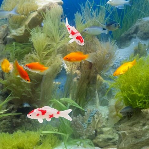 Toyvian 2pcs Mini Koi Fish Models Tank Decor Plastic Goldfish Toy for Home Garden Fish Tank Decoration in Saudi Arabia