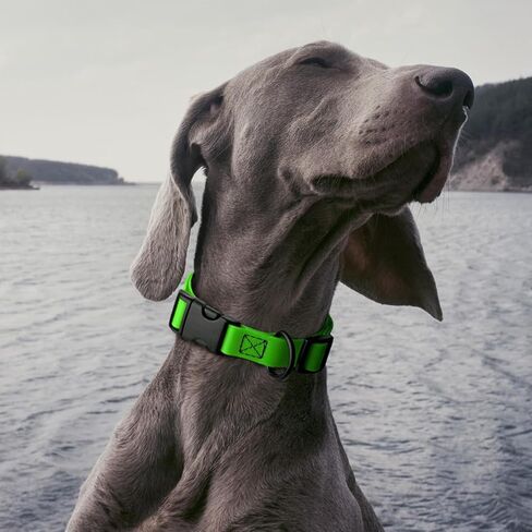 Dogline Biothane Waterproof Dog Collar with Quick Release Buckle Strong Coated Nylon Webbing with Odor- Proof for Easy Care Easy to Clean Fits Small Medium Large Dogs, Lime Green 1" W 15-25" L in Saudi Arabia