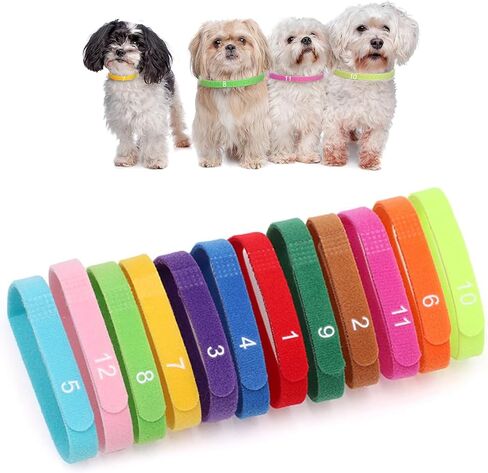12 PCS Puppy Whelping Collars Newborn Pet Collars with Numbers Double-Sided Adjustable ID Bands Pet Puppy ID Bands for Newborn Pet Dog Cat Cat (Small Size) in Saudi Arabia