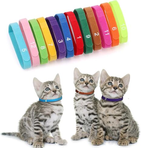 12 PCS Puppy Whelping Collars Newborn Pet Collars with Numbers Double-Sided Adjustable ID Bands Pet Puppy ID Bands for Newborn Pet Dog Cat Cat (Small Size) in Saudi Arabia