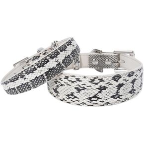 Personalized Leather Dog Collar, Premium Genuine Leather Fashion Dog Collar, for Thin-Necked Dogs, Stylish & Soft Pet Lead Set, for Citywalk, Outdoor and Photography (M) in Saudi Arabia
