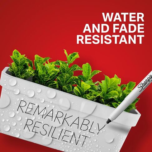 شاربي 24390235 قلم تحديد دائم برأس رفيع للغاية، حبر أسود، 36/صندوق (2082960) in Kuwait