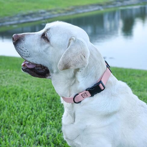 Cogline Biothane Cograck Dog Conflar مع حزام نايلون مطلي قوي بإصدار سريع مع الرائحة- دليل على سهولة الرعاية السهلة لتنظيف الكلاب الكبيرة المتوسطة ، لافندر 5/8 "W 9-14" L. in Kuwait