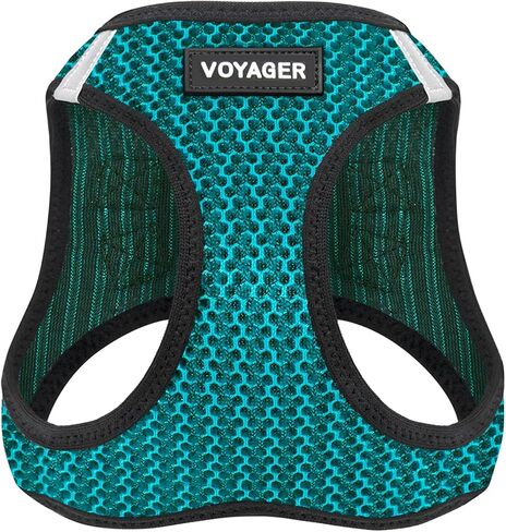 Best Pet Supplies - All Weather Mesh/Plush, Reflective, No Pull Harness for Small, Medium Dogs, Cats - Secure with Hook & Loop Fastener, Buckle, Double D-Rings - Turquoise 2-Tone, M in Saudi Arabia