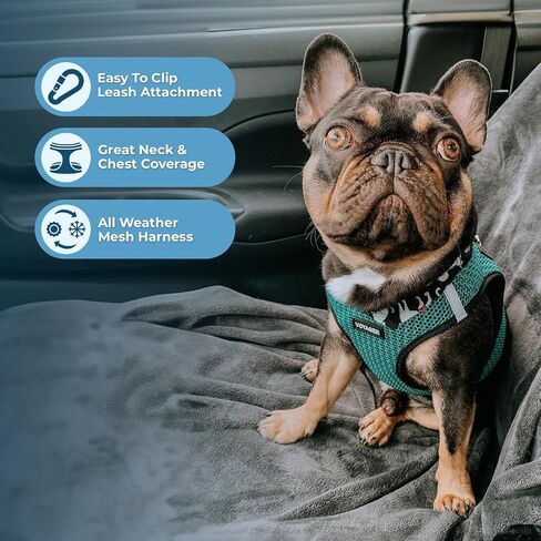 Best Pet Supplies - All Weather Mesh/Plush, Reflective, No Pull Harness for Small, Medium Dogs, Cats - Secure with Hook & Loop Fastener, Buckle, Double D-Rings - Turquoise 2-Tone, M in Saudi Arabia