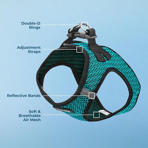 Best Pet Supplies - All Weather Mesh/Plush, Reflective, No Pull Harness for Small, Medium Dogs, Cats - Secure with Hook & Loop Fastener, Buckle, Double D-Rings - Turquoise 2-Tone, M in Saudi Arabia