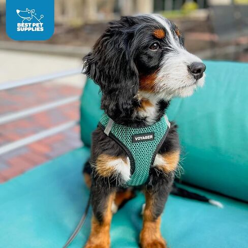 Best Pet Supplies - All Weather Mesh/Plush, Reflective, No Pull Harness for Small, Medium Dogs, Cats - Secure with Hook & Loop Fastener, Buckle, Double D-Rings - Turquoise 2-Tone, M in Saudi Arabia