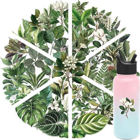 ملصقات زهرة طبيعية لسكان القصاصات ، وتوفيرات سجلات القصاصات الشفافة ذاتية اللصق ، مستلزمات اليومية لبطاقات البالغين لصنع رسائل زجاجة ماء DIY (الأزهار الطبيعية) in Kuwait