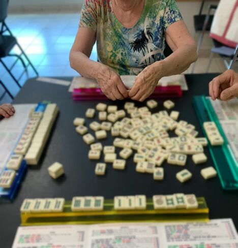 2025 حامل بطاقة Mahjong للطباعة الكبيرة (6.12 "x4.75") ، أكمام واقية واضحة ، غطاء بلاستيكي متين لبطاقة NMJL ، مجموعة هدايا 4 ملحقات (4) in Saudi Arabia