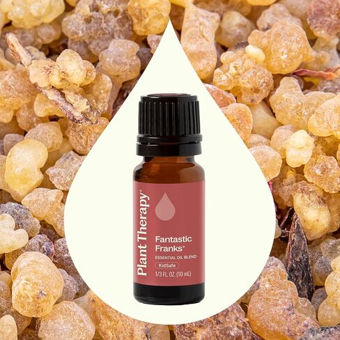 Plant Therapy Fantastic Franks Essential Oil Blend 30 mL (1 oz) 100% Pure, Undiluted, Therapeutic Grade in Saudi Arabia