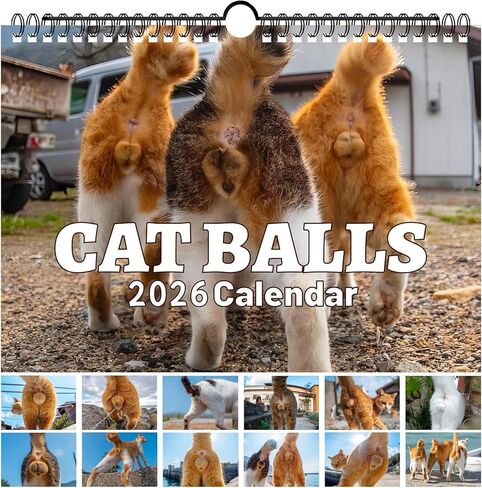 Cat Balls Calendar 2025 Cat Calendar Funny Calendar 2025 Wall Calendar 11 "× 7.8" مع قطب معلق ، صور قطز غريبة للمكتب المكتبي - هدايا هدايا مضحكة أبيض مضحكة in Kuwait