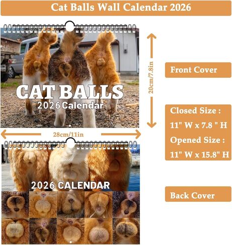 Cat Balls Calendar 2025 Cat Calendar Funny Calendar 2025 Wall Calendar 11 "× 7.8" مع قطب معلق ، صور قطز غريبة للمكتب المكتبي - هدايا هدايا مضحكة أبيض مضحكة in Kuwait