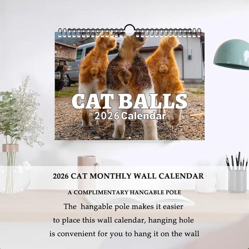 Cat Balls Calendar 2025 Cat Calendar Funny Calendar 2025 Wall Calendar 11 "× 7.8" مع قطب معلق ، صور قطز غريبة للمكتب المكتبي - هدايا هدايا مضحكة أبيض مضحكة in Kuwait