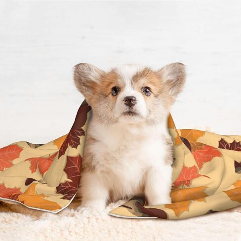 Plush Pet Blanket Maple Leaf Fall 3D Paw Print Design Soft Fluffy Blankets Throw for Dog Puppy Cat Kitten Pets Gifts Large in Kuwait
