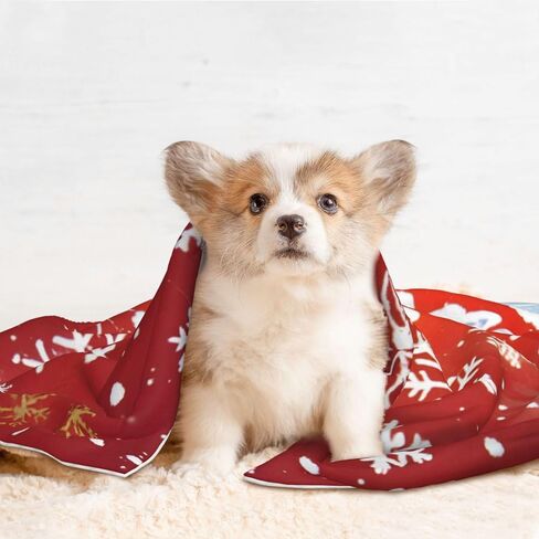 Plush Pet Blanket Maple Leaf Fall 3D Paw Print Design Soft Fluffy Blankets Throw for Dog Puppy Cat Kitten Pets Gifts Large in Kuwait