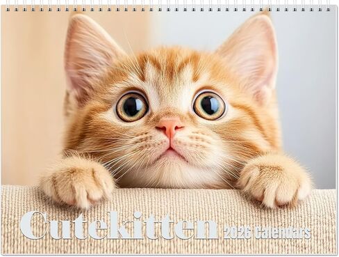 Cat Calendar 2026 Calendar,Cute Kitten Wall Calendar,Large Bookstore-Quality,Spiral-Bound Hanging Monthly Wall Planners for Kitchen & Office,Pet calendar - 11x17Inch(Open) in Saudi Arabia