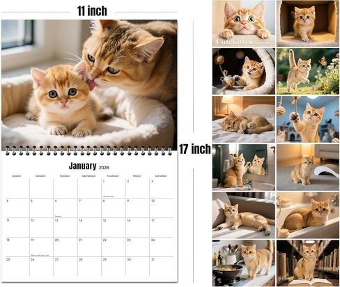 Cat Calendar 2026 Calendar,Cute Kitten Wall Calendar,Large Bookstore-Quality,Spiral-Bound Hanging Monthly Wall Planners for Kitchen & Office,Pet calendar - 11x17Inch(Open) in Saudi Arabia