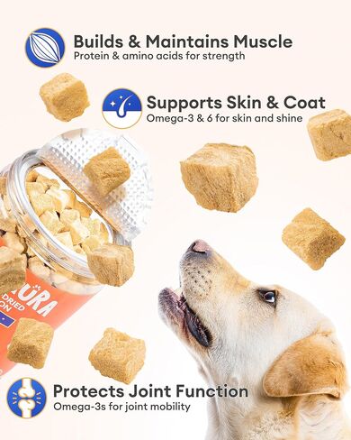 Freeze Dried Salmon Treats for Dogs & Cats – 3.53 oz, Single Ingredient, High-Protein, Natural High Value, Grain-Free, Healthy Pet Training Treats or Food Topper in Kuwait