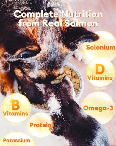 Freeze Dried Salmon Treats for Dogs & Cats – 3.53 oz, Single Ingredient, High-Protein, Natural High Value, Grain-Free, Healthy Pet Training Treats or Food Topper in Kuwait