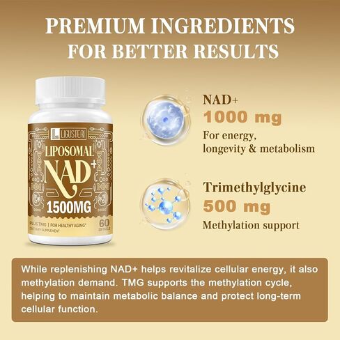 مكمل LIGUSTERI 750 مجم Liposomal NAD+، امتصاص فائق، True NAD+ مع TMG، Boost NAD Plus للدفاع عن الشيخوخة، الطاقة الخلوية، وظيفة القلب والدماغ، 60 كبسولة هلامية in Saudi Arabia