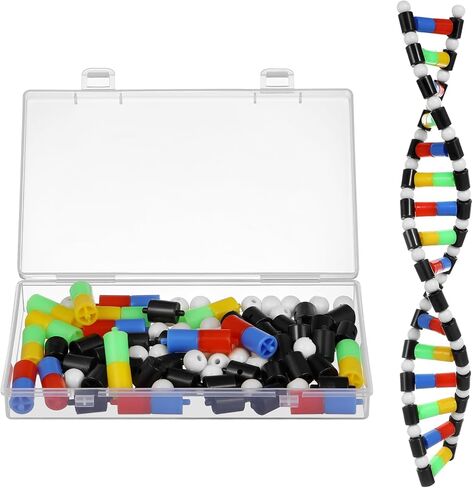 TOYANDONA DNA Model Kit, DNA Double Helix Structure Model DNA Double Helix Model for School Student Science Teaching Educational Learning in Saudi Arabia