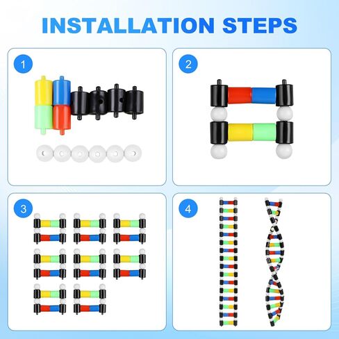 TOYANDONA DNA Model Kit, DNA Double Helix Structure Model DNA Double Helix Model for School Student Science Teaching Educational Learning in Saudi Arabia