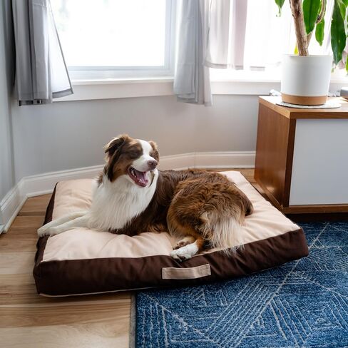 Rawry Orthopedic Dog Bed | Memory Foam Dog Bed with Handle | Water-Resistant, Machine Washable Cover | Floor Cushion for Cats, Dogs & People - Tan/Brown (Small - 24" x 18") in Kuwait