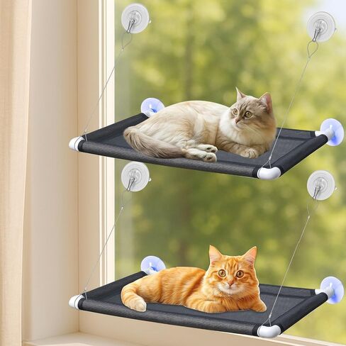 2 Pack Cat Window Perches, Easy Mounted Cat Hammock Window with 6 Strong Suction Cups, Black Mesh Fabric and Canvas Pads, Window cat Bed for Large Cats and Kittens, 38Lbs Load Capacity in Saudi Arabia
