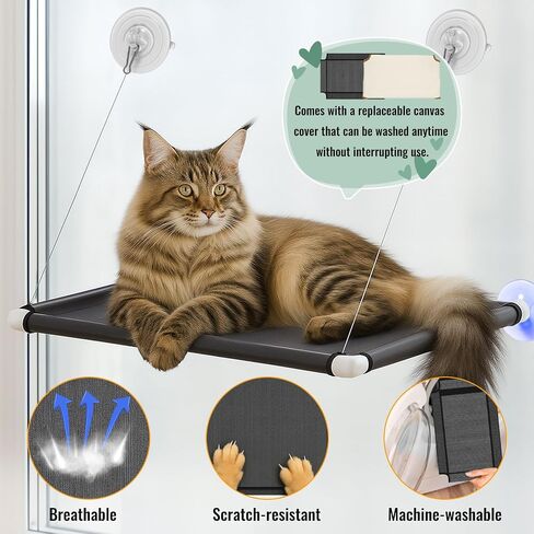 2 Pack Cat Window Perches, Easy Mounted Cat Hammock Window with 6 Strong Suction Cups, Black Mesh Fabric and Canvas Pads, Window cat Bed for Large Cats and Kittens, 38Lbs Load Capacity in Saudi Arabia