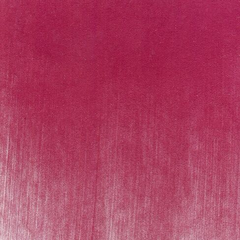 Panpastel Artist Pastels by Golden ، Magenta ، 2.44 " / 62mm PAN BAN ، PRASTELS Provessions ، Freefiance Pan Format (تشبه الكيك) in Saudi Arabia