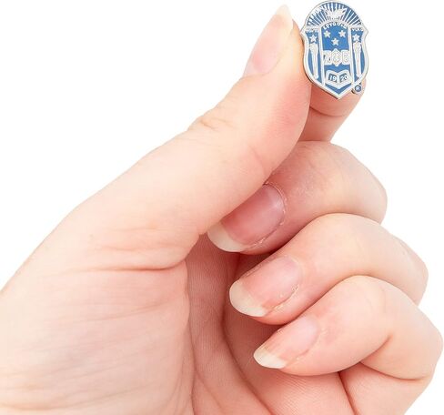 Zeta Phi Beta Lapel Pin Enamel Sorority Greek Letter Formal Wear Blazer Jacket (Lapel Pin - Design F) in Saudi Arabia