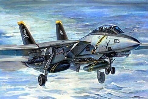 عازف البوق 1/32 F14B Tomcat Fighter Modelk Kit in Saudi Arabia
