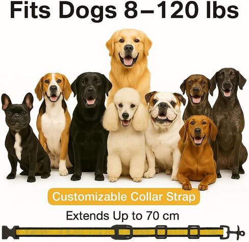 Waterproof Dog Shock Collar with Remote 3300 FT – 3 Modes Beep Vibrate Static, LED Light, 20-Level Adjustable, Rechargeable Training Collar for Small Medium Large Dogs 8-120 lbs in Saudi Arabia
