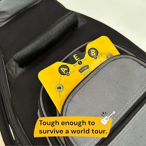 رفيق القراءة: جهاز فك التشفير الصاخب: دائرة الخمس in Kuwait